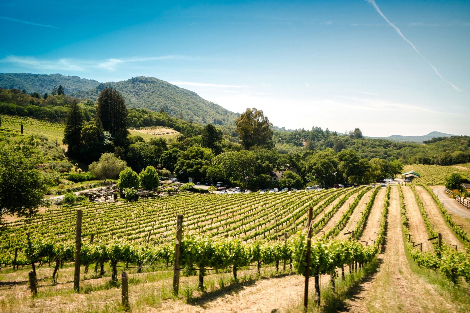Wine and community