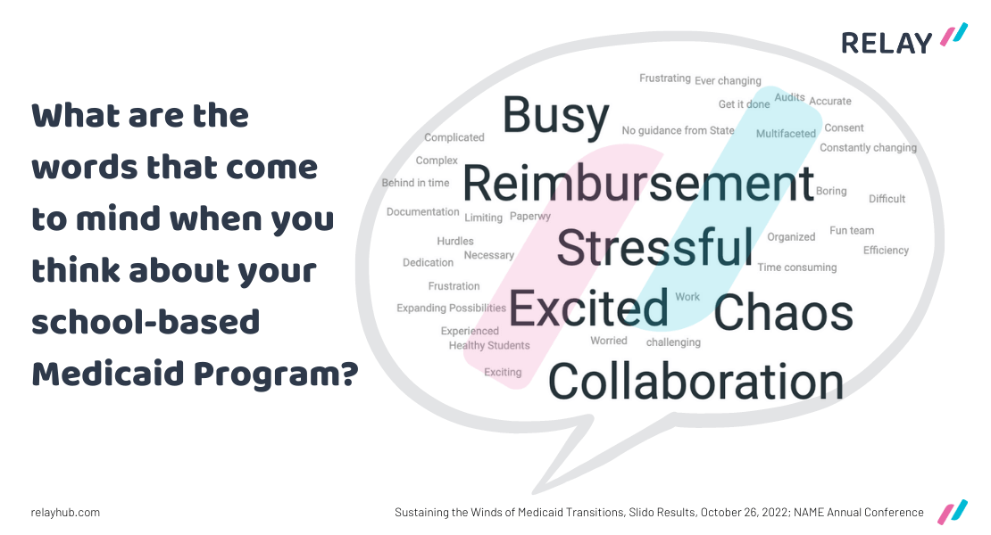 School Based Medicaid Word Cloud