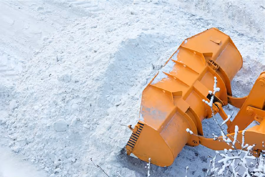 Orange snowplow blade clearing snow with snow-covered branches in the foreground.