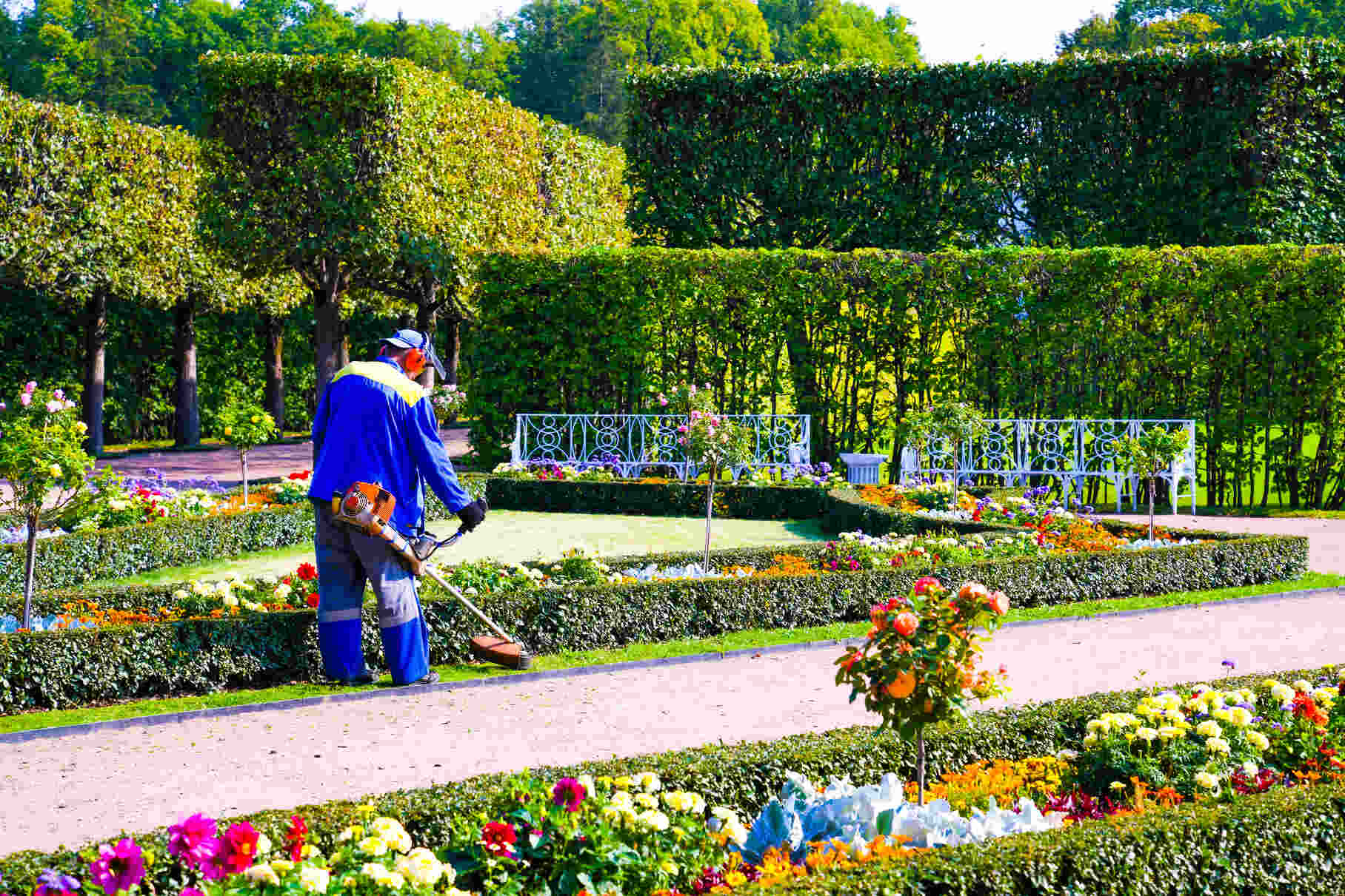 Gardener wearing blue and yellow uniform using a leaf blower to clean a pathway in a well-maintained garden with colorful flower beds, neat hedges, and white metal benches surrounding a small lawn area.