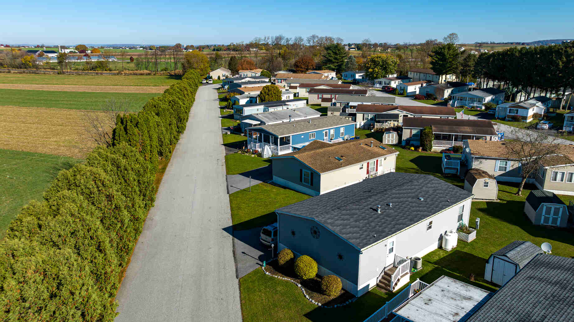 Aerial view of a residential neighborhood with multiple mobile homes lined up along a paved road bordered by tall dense evergreen trees, surrounded by green lawns and open fields under a clear blue sky.