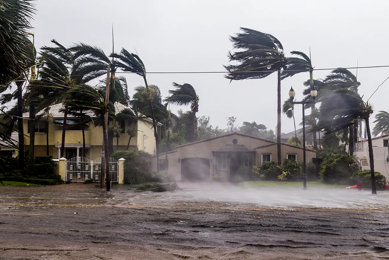 Flooded street with palm trees bending in strong wind in front of houses during a storm with heavy rain and water swirling on the road.