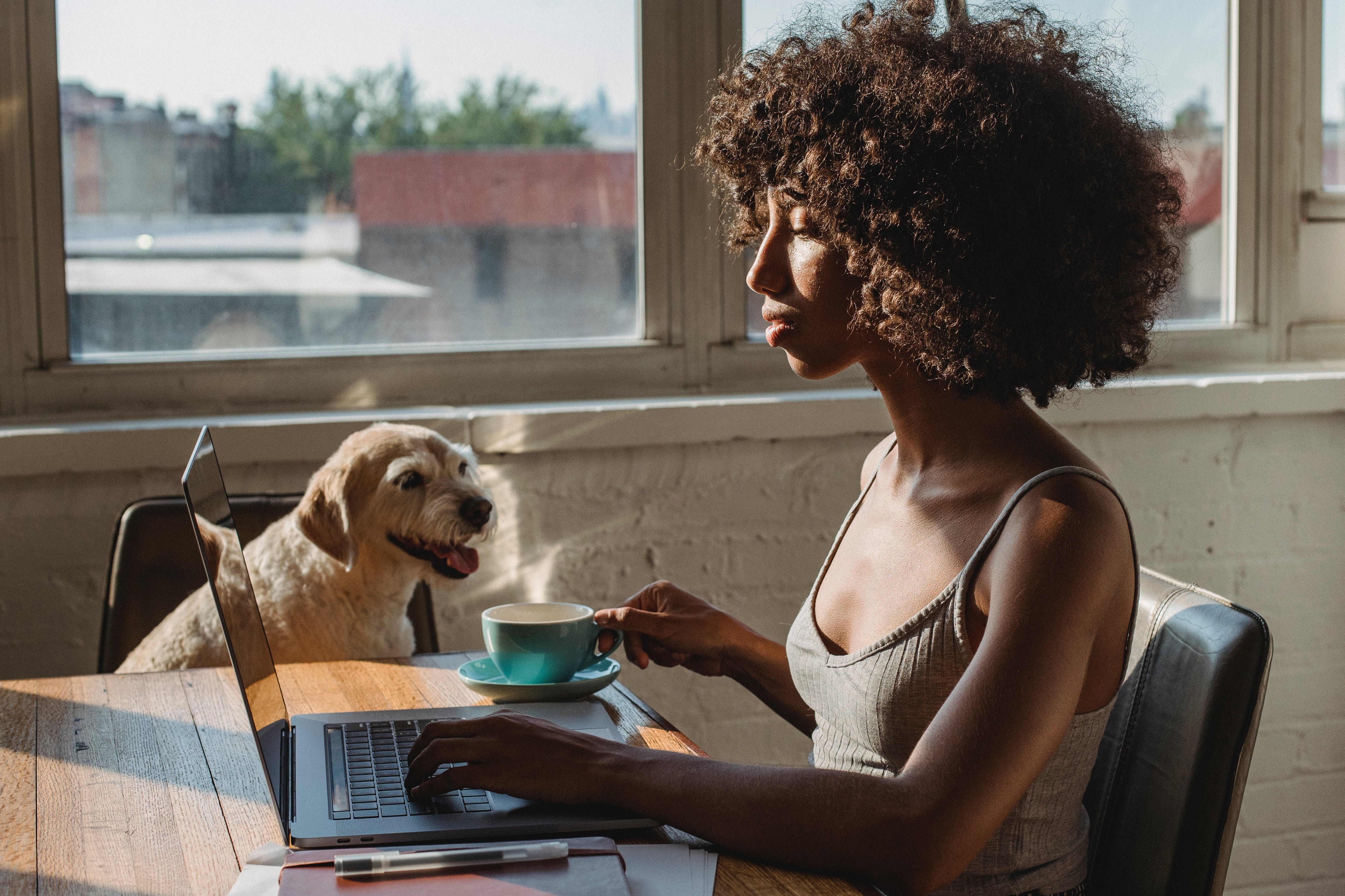 Woman with cat stock image