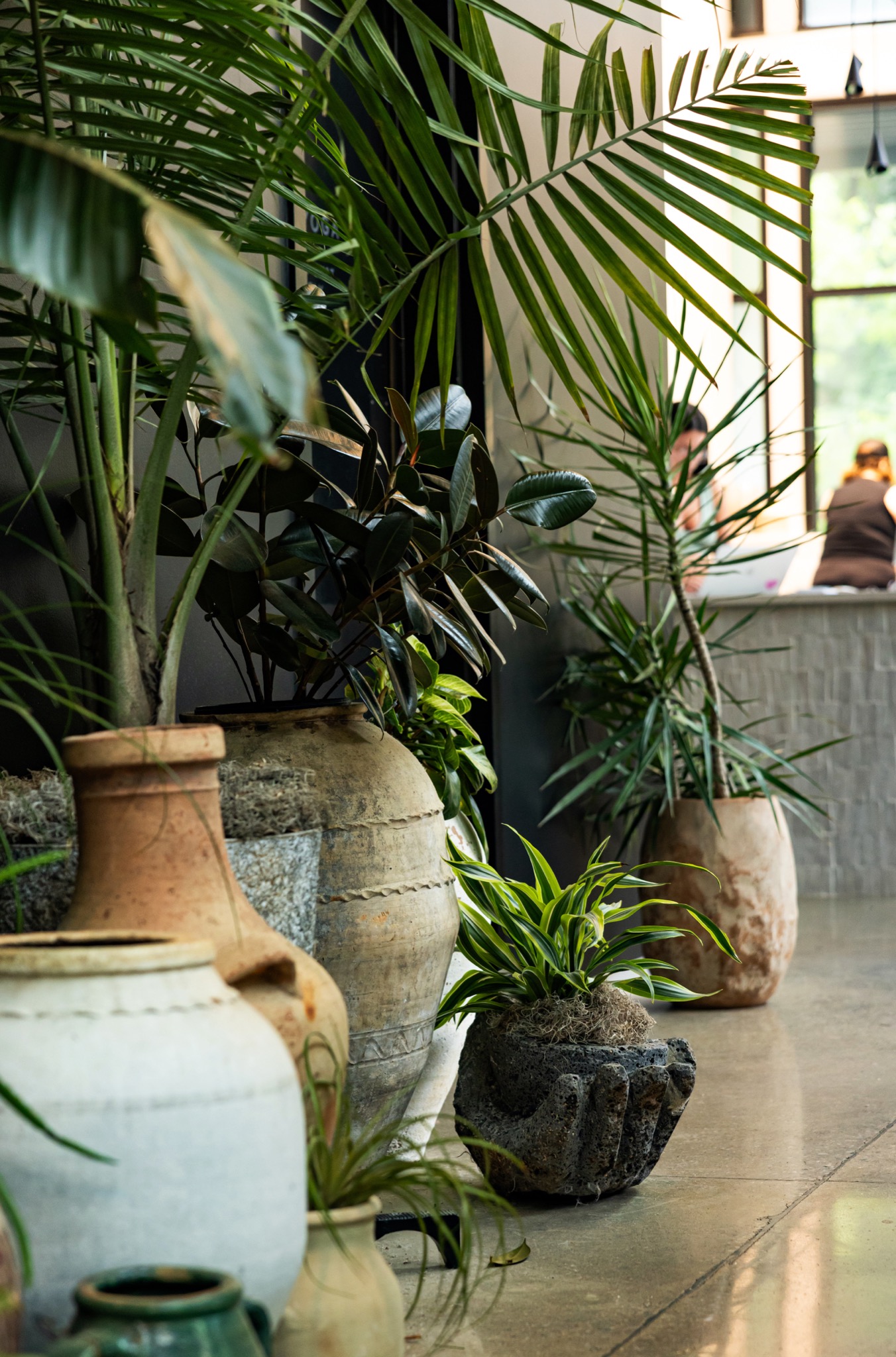 Dose Yoga studio