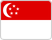 Singapore flag