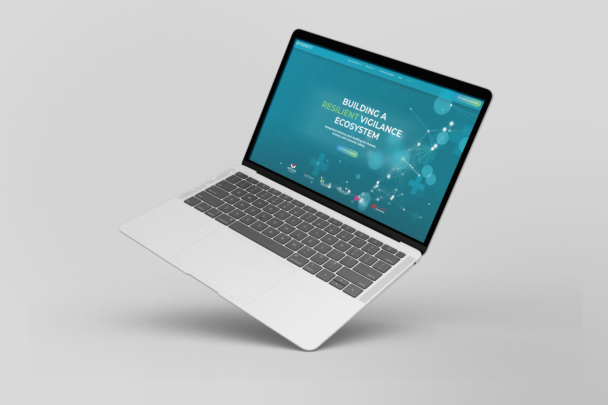 Viginext Website-Mockup, Startseite