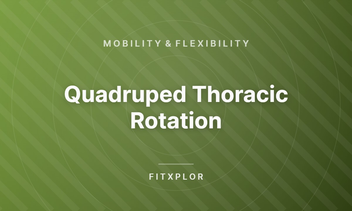 Quadruped Thoracic Rotation