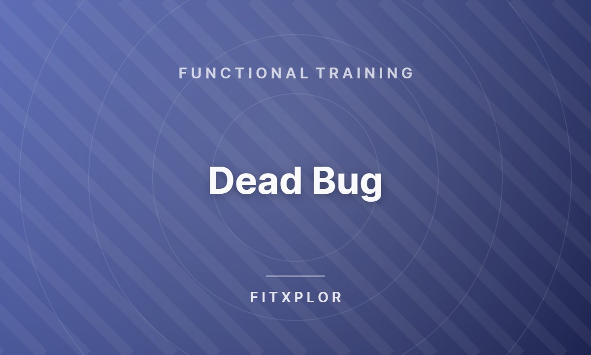 Dead Bug