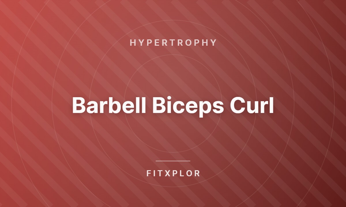 Barbell Biceps Curl