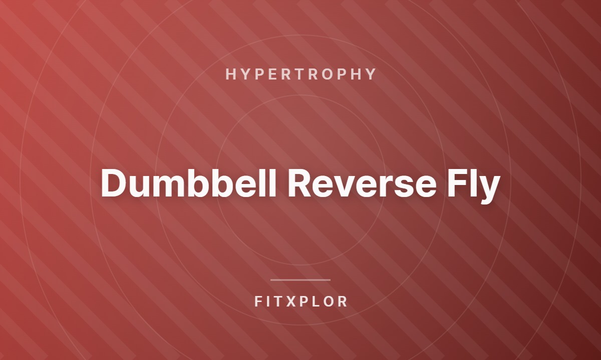 Dumbbell Reverse Fly