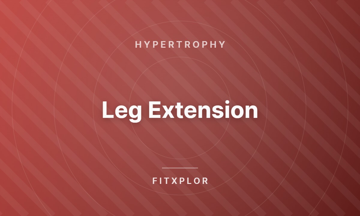Leg Extension
