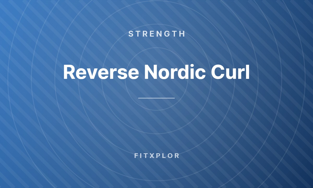 Reverse Nordic Curl