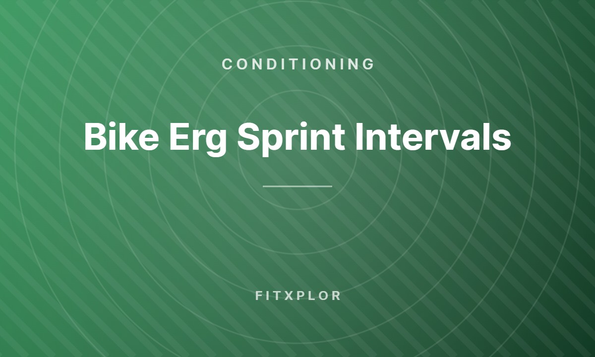 Bike Erg Sprint Intervals
