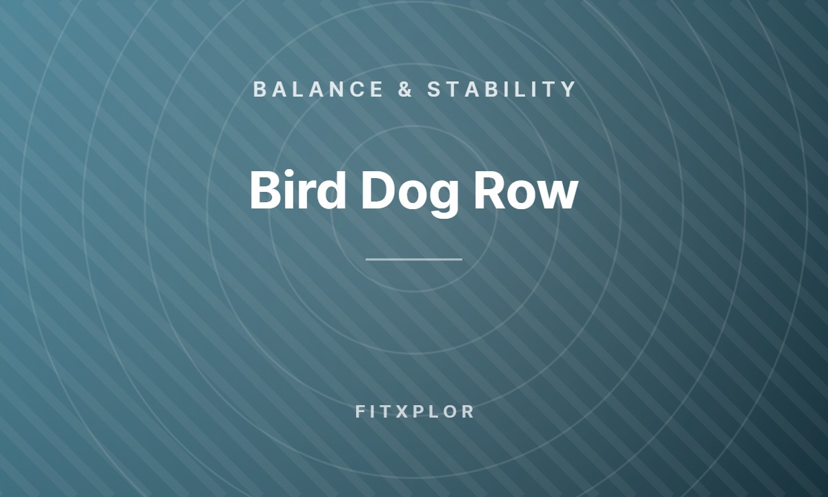 Bird Dog Row