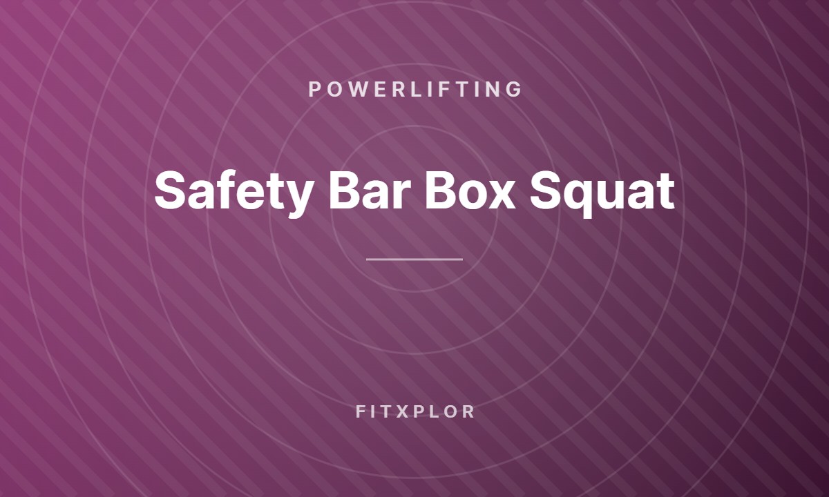 Safety Bar Box Squat