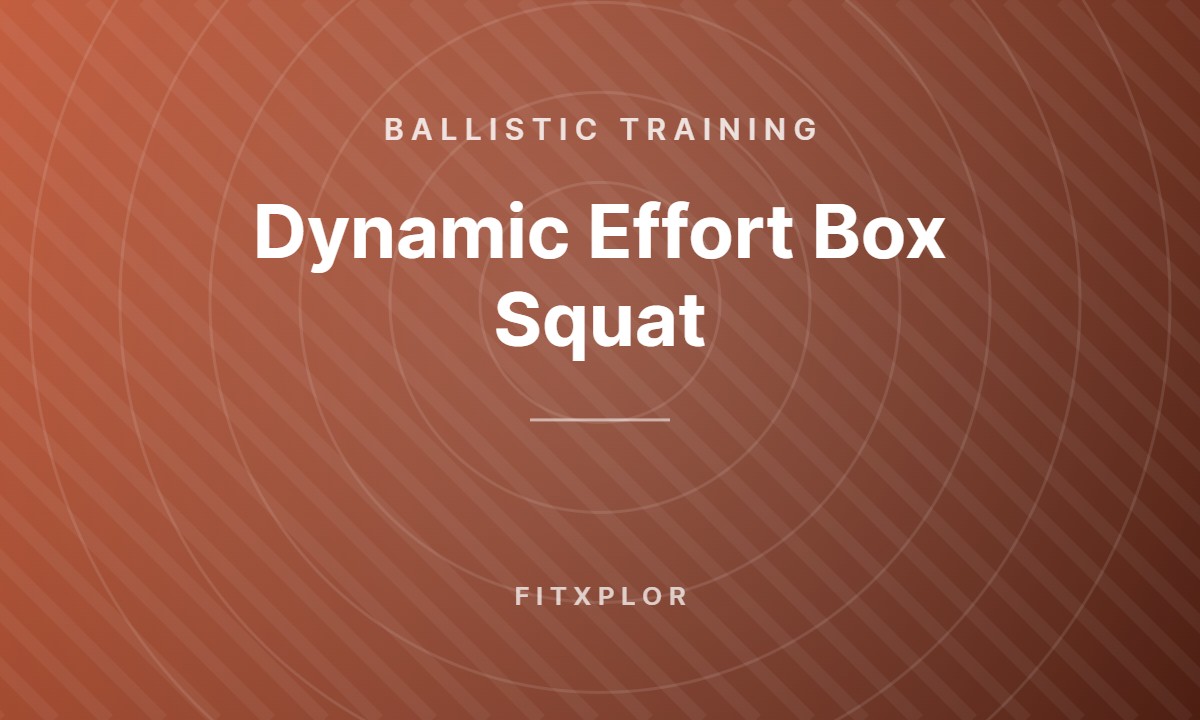 Dynamic Effort Box Squat