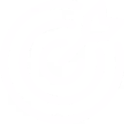 A target with an arrow hitting the bullseye in the center.