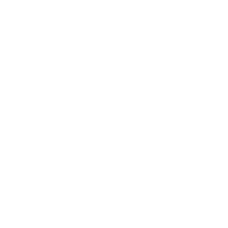 White light bulb symbol.