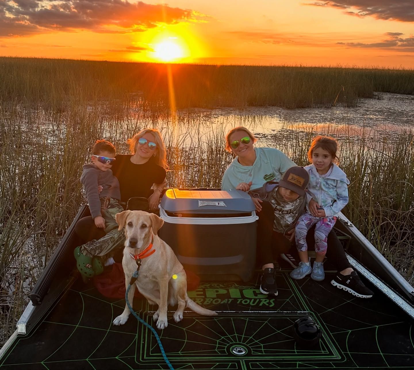Everglades Alligator Tour