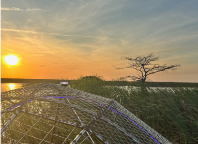Everglades sunrise on Airboat tour