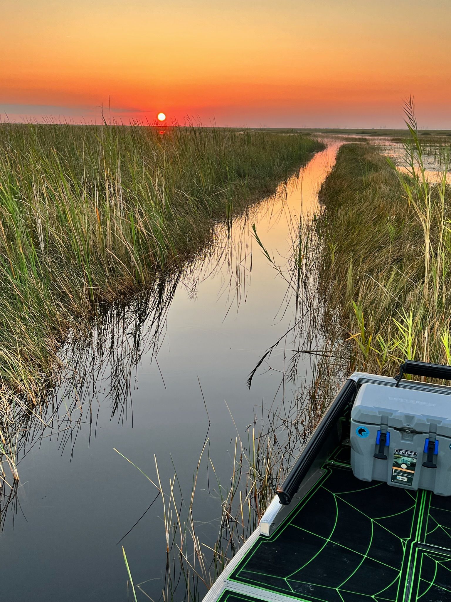 Family-Friendly Everglades Tours Near Fort Lauderdale