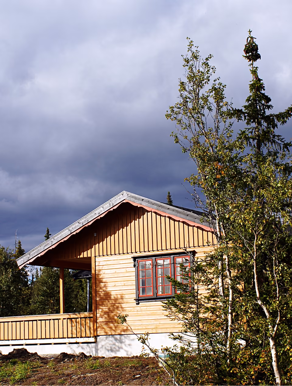 Included Image