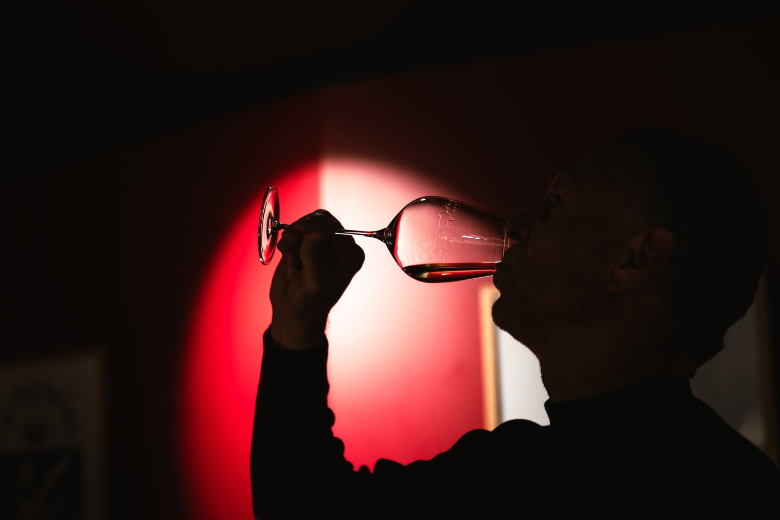 Dégustation de vins au French Theory