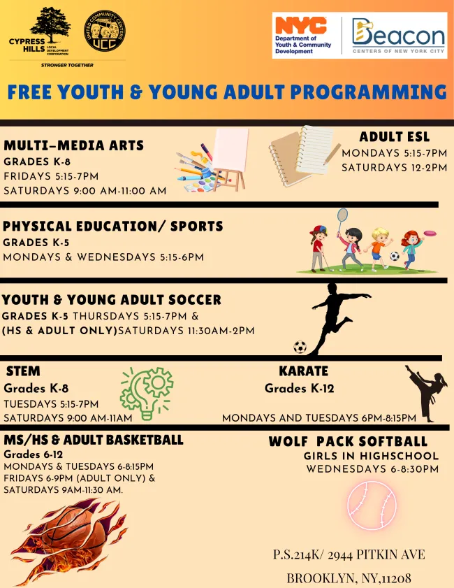 Flyer listing free youth and young adult programs at PS 214K Brooklyn