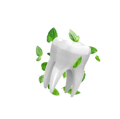 A 3D white tooth surrounded by fresh green mint leaves on a transparent background.