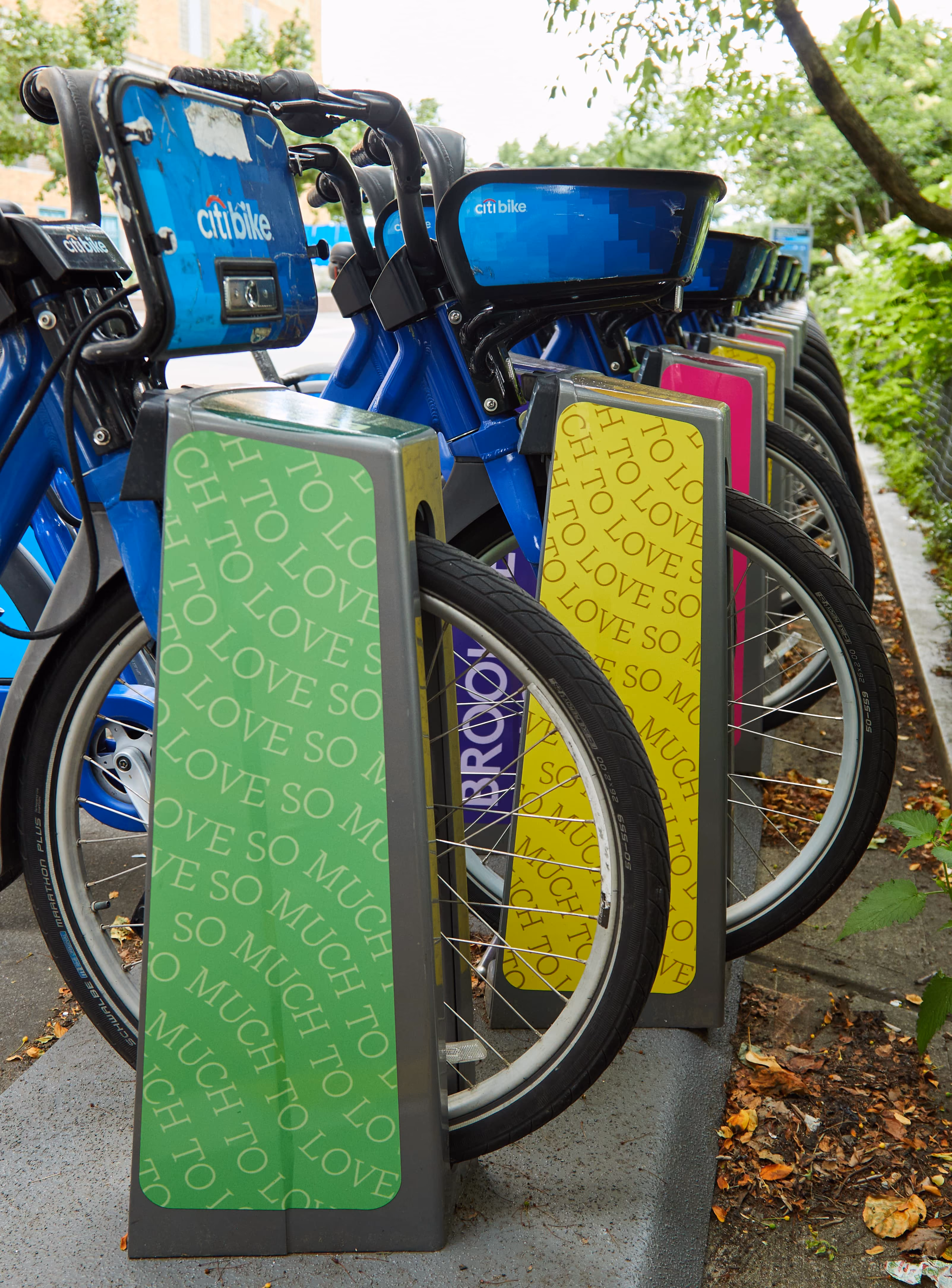 Line of blue Citi Bikes docked at a station with colorful text panels on the bike stands.
