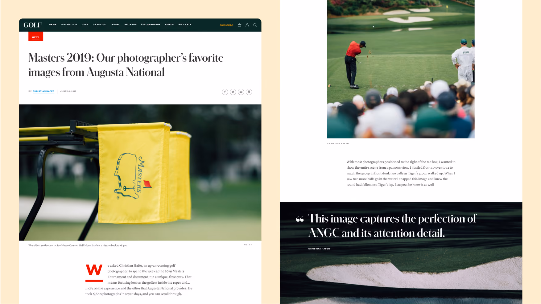 Marters 2019 article