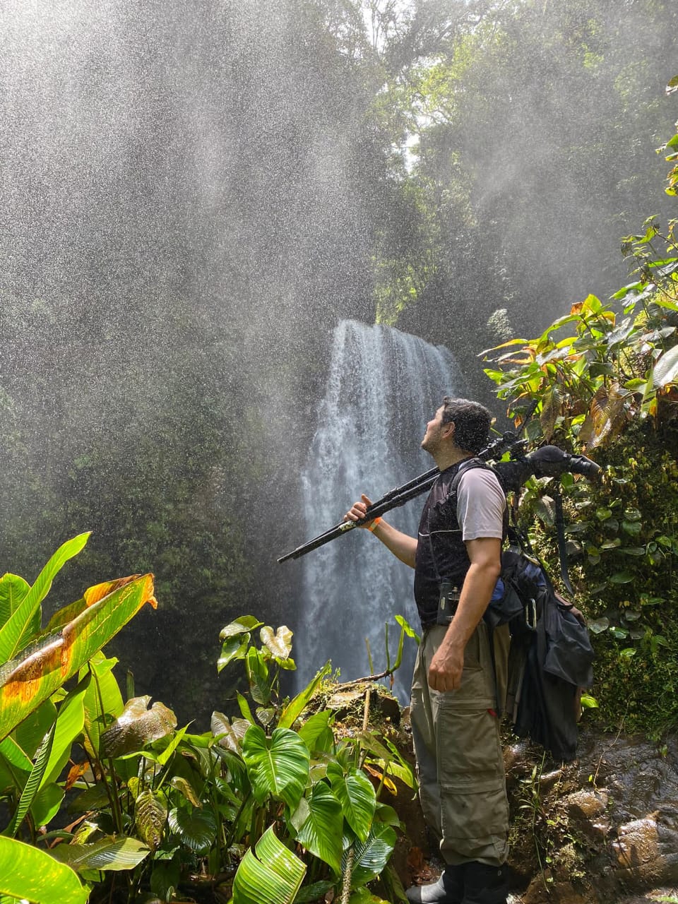 Monteverde cloud forest guided tour, Costa Rica