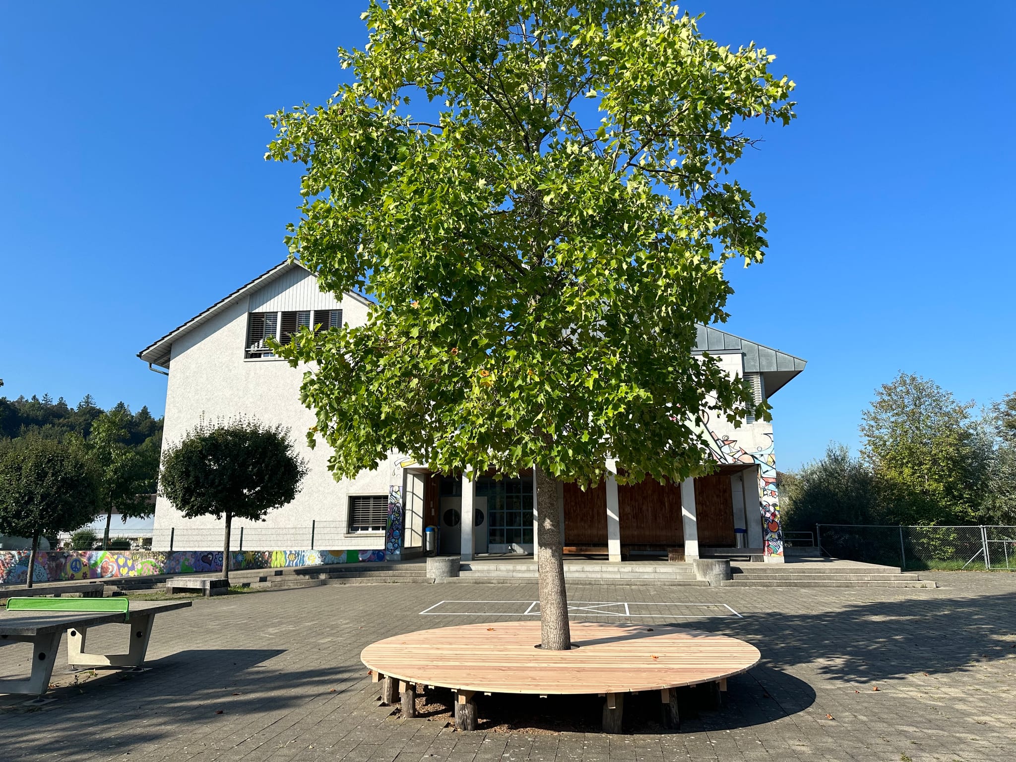 Sitzbankkreise Schule Flaach