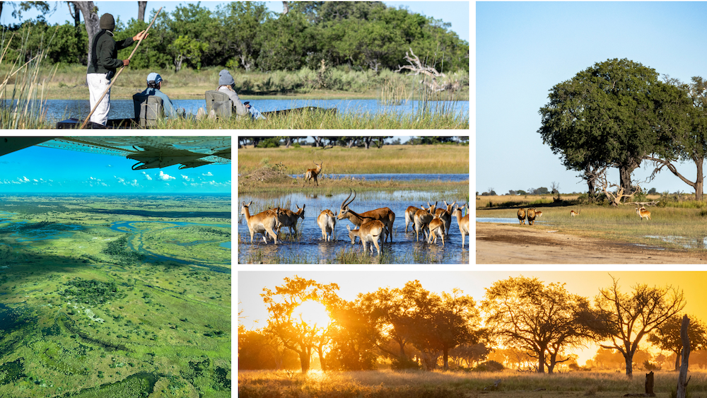 Southern Africa Safari, Botswana