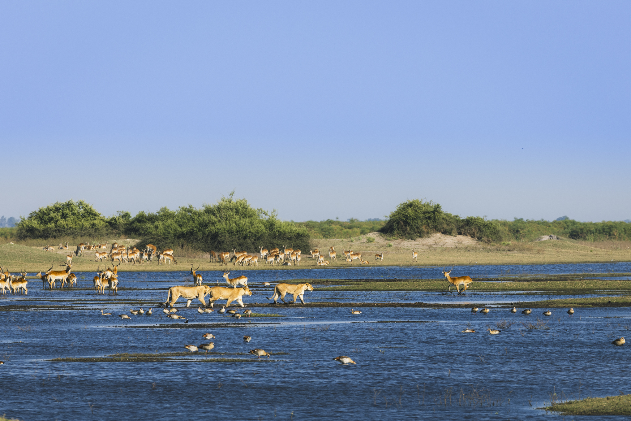 Duba Pains, Botswana 