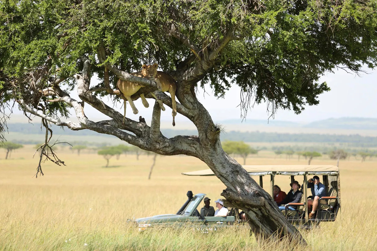 Angama Mara, Kenya