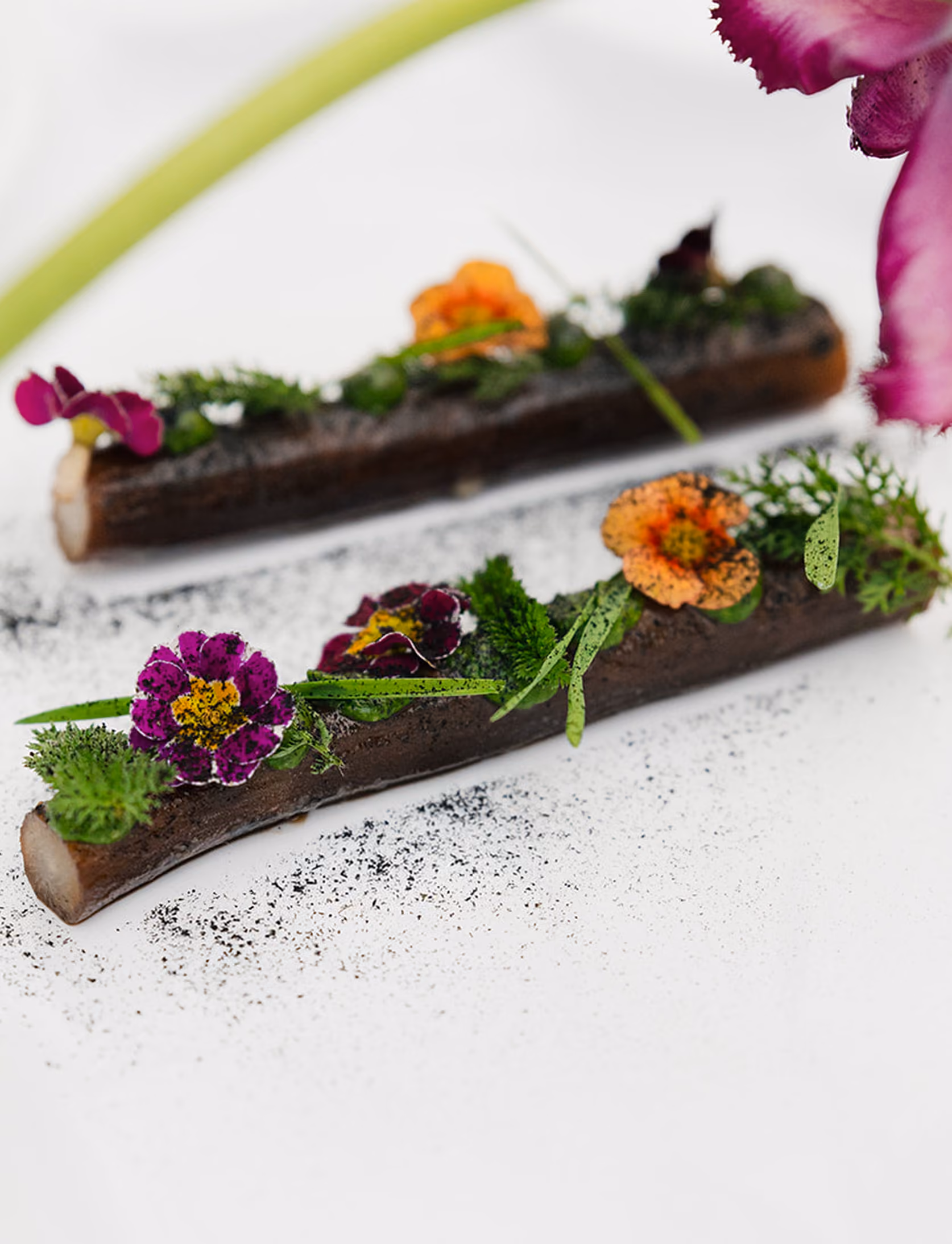 Deux morceaux de bois décorés de fleurs comestibles colorées et d'herbes sur une surface blanche.