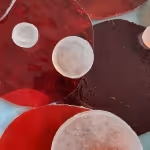 oeuvre se casser les dents