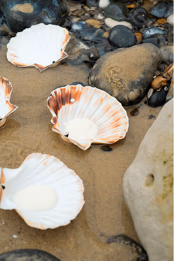dessert sur le sable