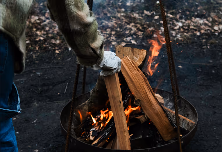 Feu de bois