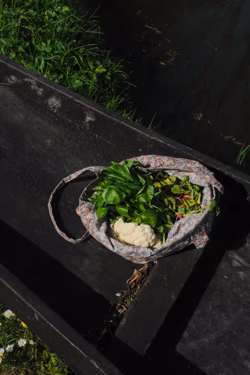 légumes des hortillonnages