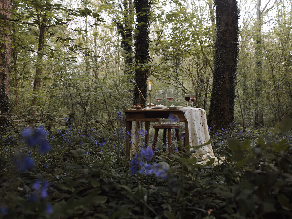 Table dans les bois à l'aube