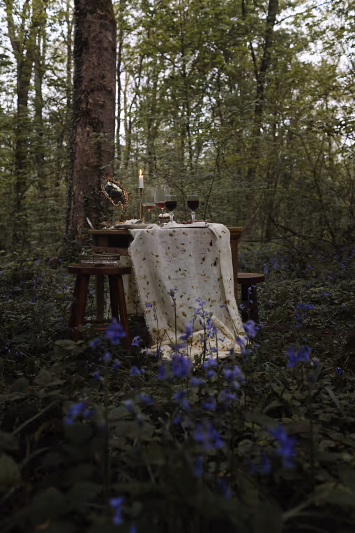 Table dans les bois à l'aube