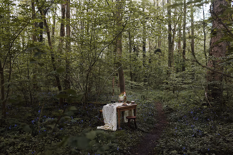 Table dans les bois à l'aube