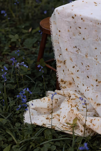 Zoom sur une nappe dans la foret