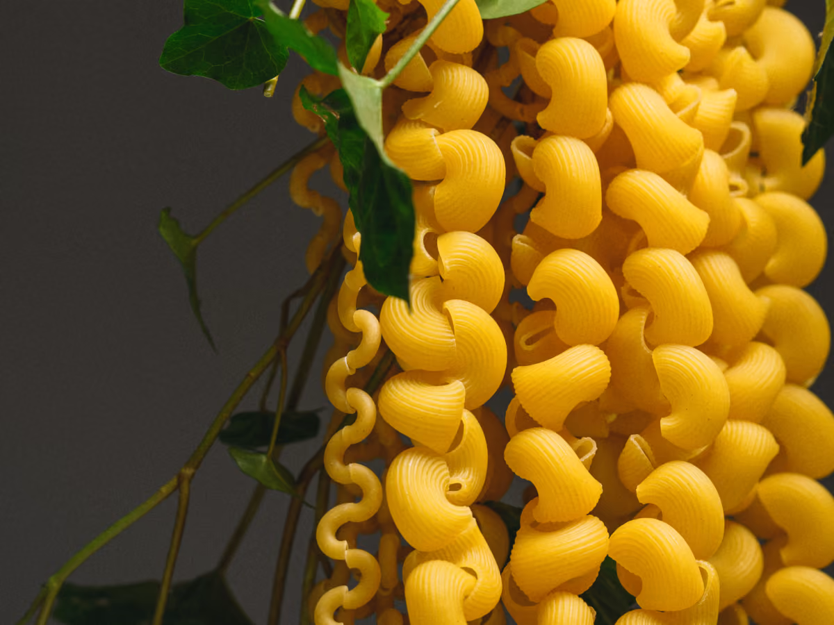 Glycine oeuvre comestible par Sophie Coulet