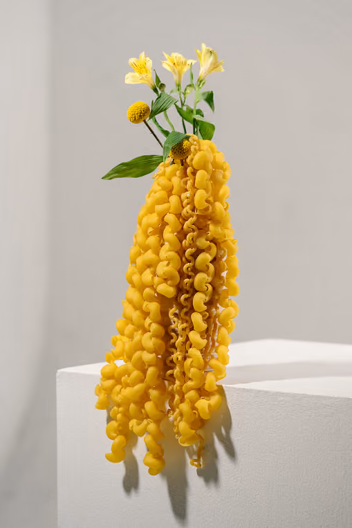 Glycine oeuvre comestible par Sophie Coulet