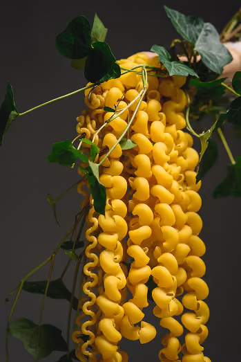 Glycine oeuvre comestible par Sophie Coulet