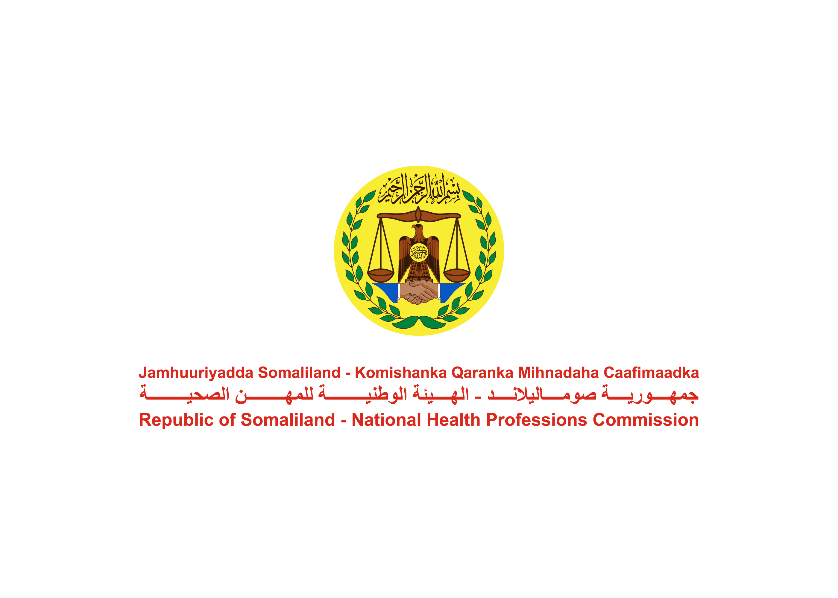National Health Professions Commission