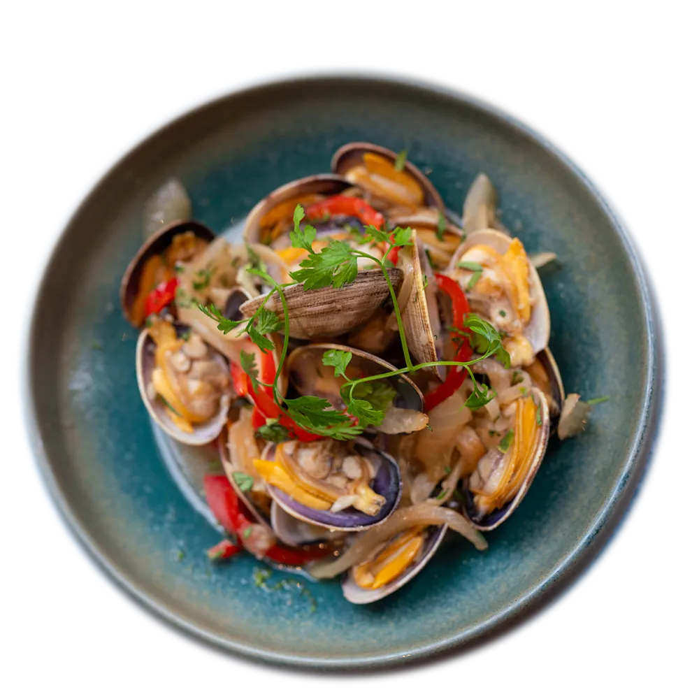 Almejas (Manila Clams)